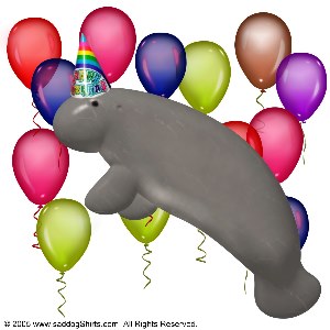 ../Images/birthday manatee 2.jpg